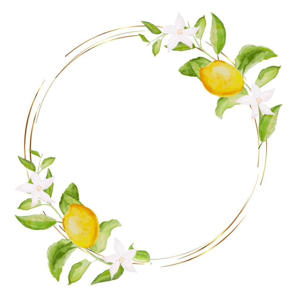 Hand-drawn watercolor painting lemon frame on white background. Vector illustration of green leaves, flowers, buds, and branches. Perfect for background for greetings, birthdays, mothers day cards.