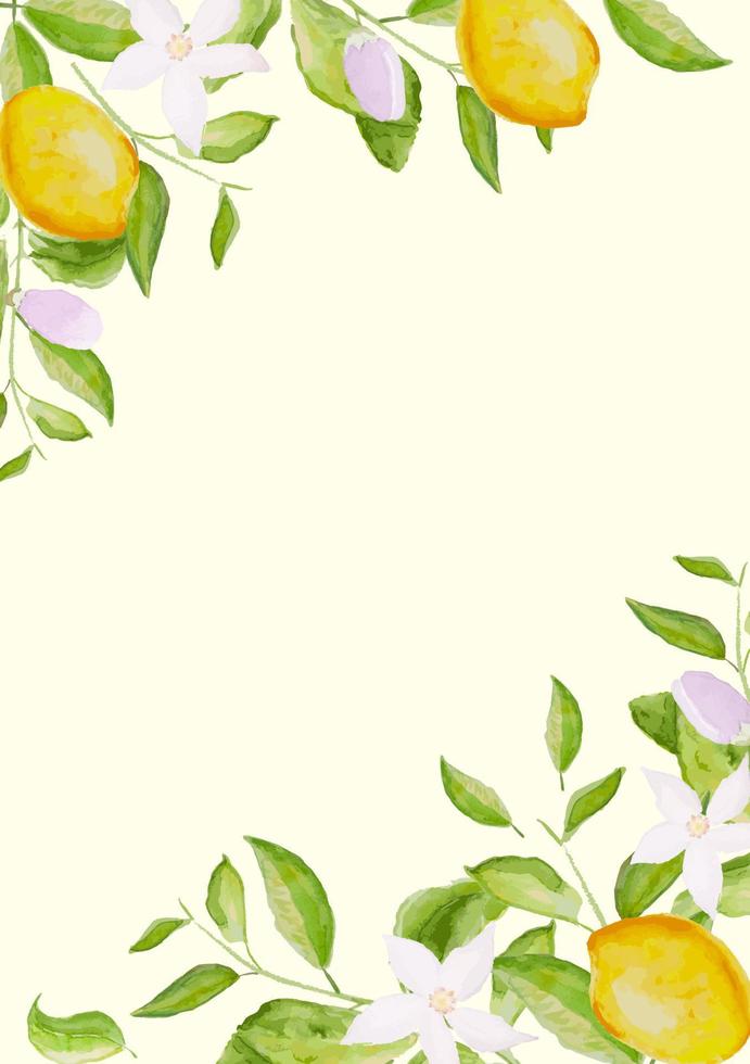 Card template, frame of watercolor hand drawn blooming lemon tree branches, flowers and lemons on white background. Template for greeting, birthday cards, posters with text place. Vector EPS10