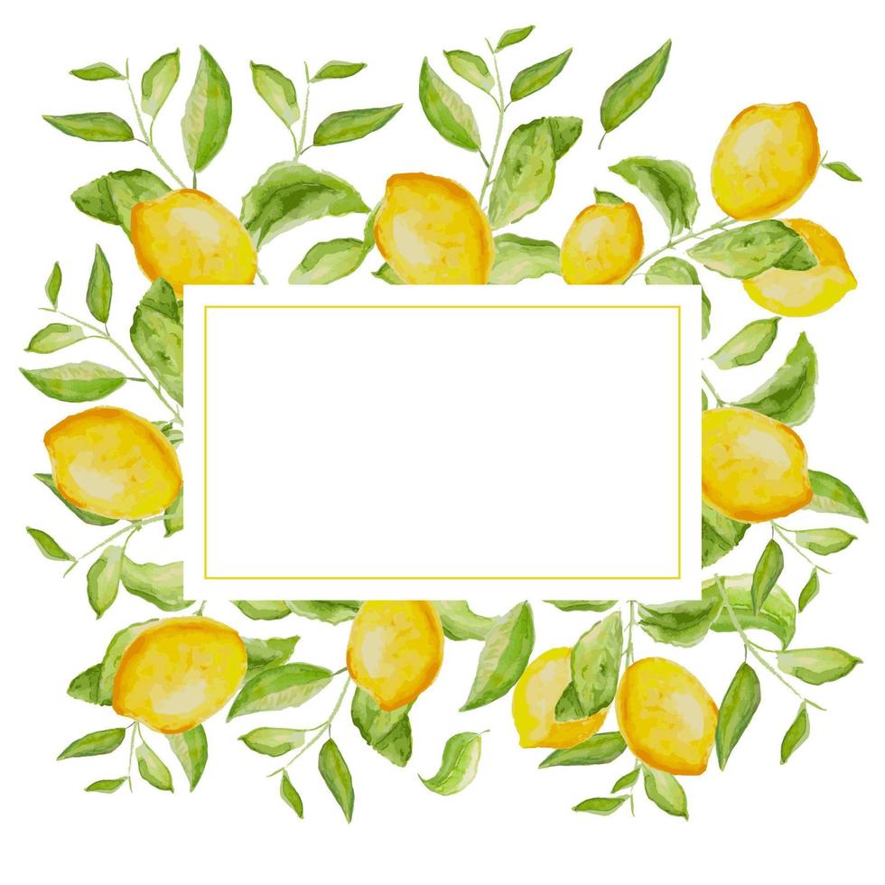 Hand-drawn watercolor painting lemon frame on white background. Vector illustration of green leaves, flowers, buds, and branches.