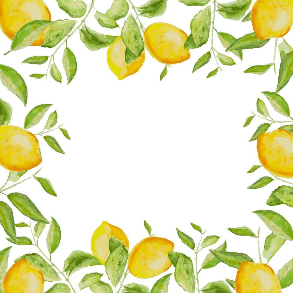 Hand-drawn watercolor painting lemon frame on white background. Vector illustration of green leaves, flowers, buds, and branches.