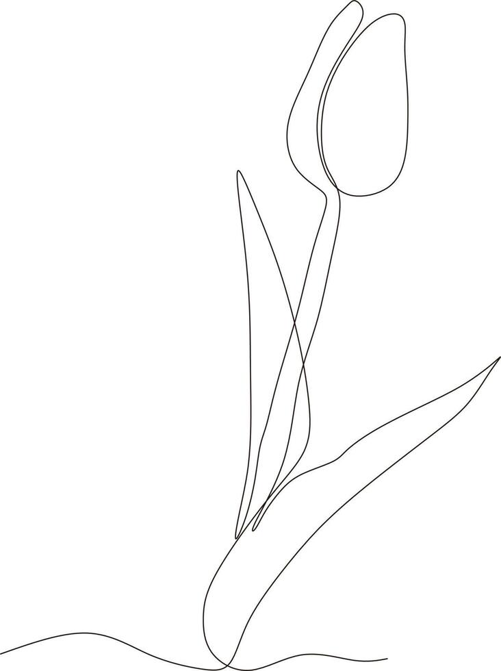 Tulip flower black and white continuous line drawing. One line art. Vector illustration