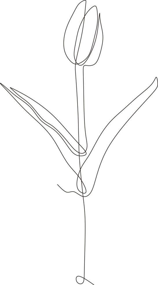 Tulip flower black and white continuous line drawing. One line art. Vector illustration