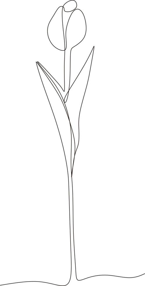 Tulip flower black and white continuous line drawing. One line art. Vector illustration