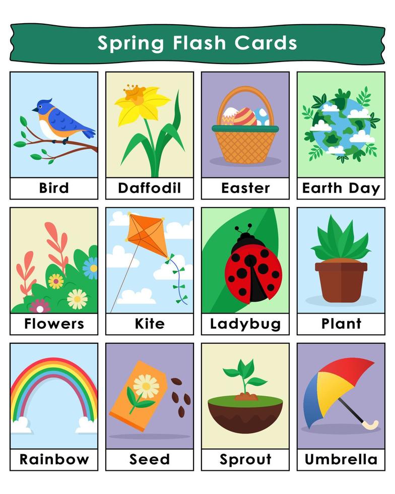 Spring flashcard vector