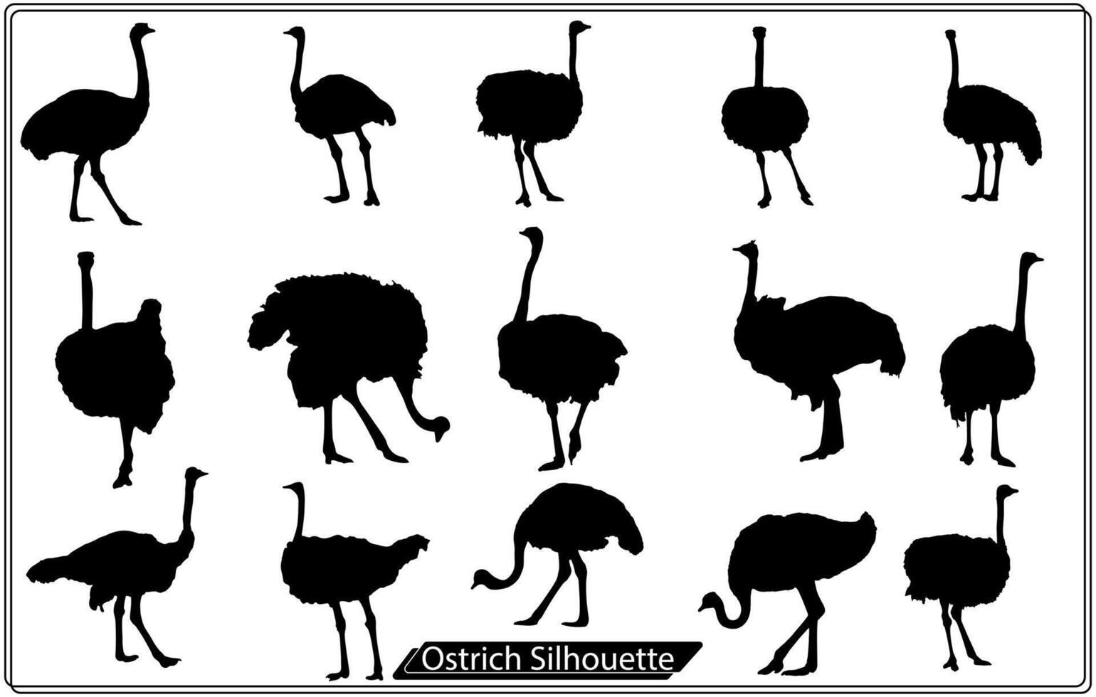 vector illustration of Ostrich silhouette Free