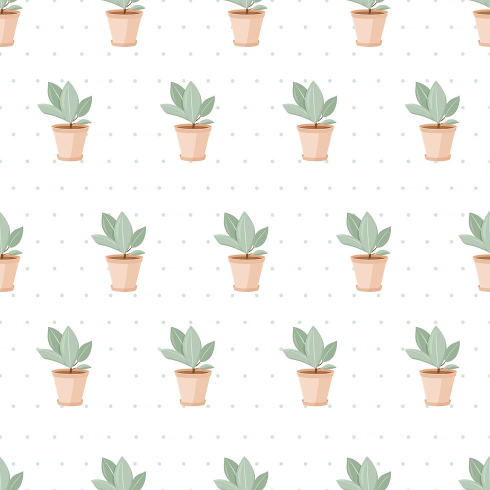 Vector seamless pattern. Home plants, ficuses in pots. Background or wrapping paper decoration.