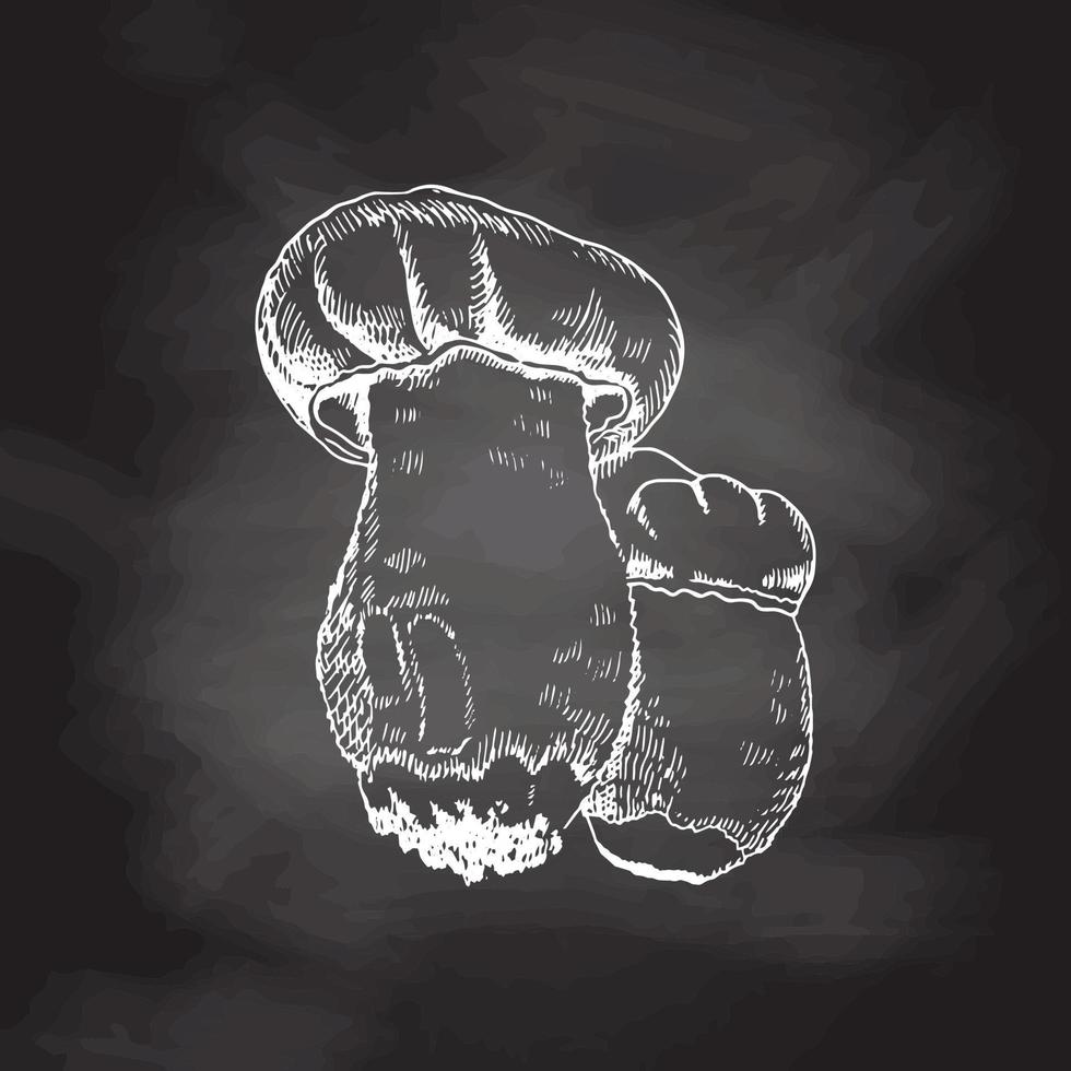 A hand-drawn sketch of mushrooms. White sketch isolated on black chalkboard. Vector vintage illustration. Drawing with an ink pen. Vintage sketch style on a white background.