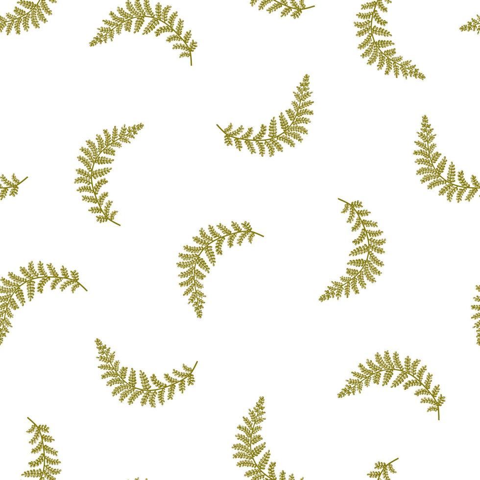 Green fern leaf, branch vector seamless pattern. Forest plant texture flat cartoon illustration.