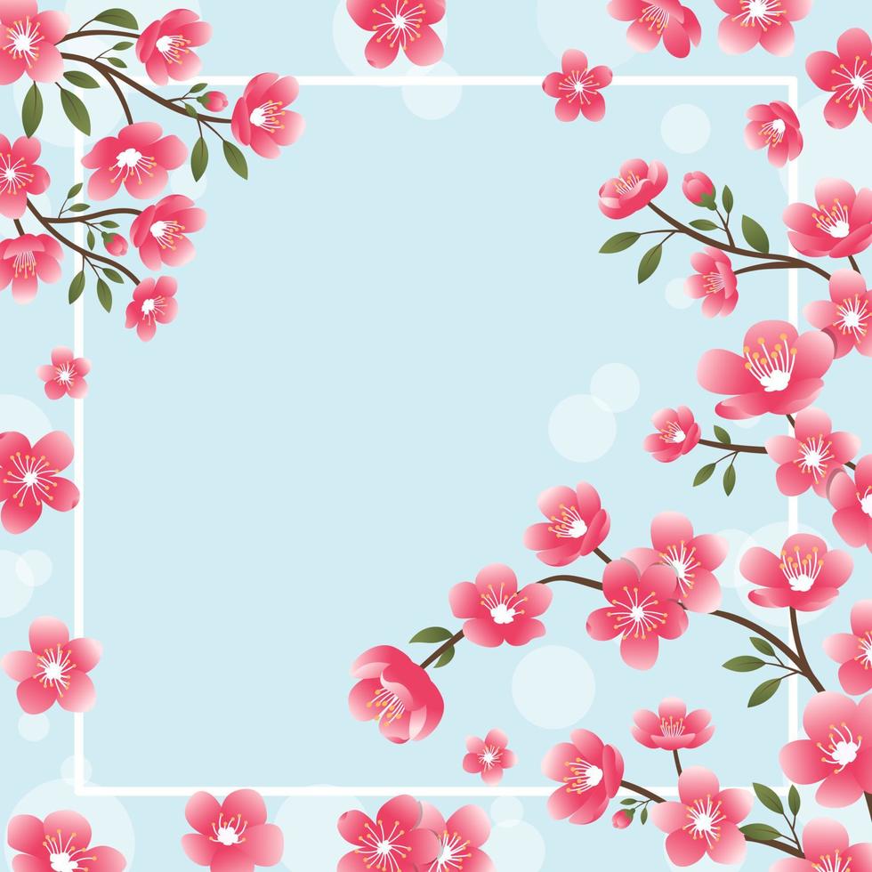 Peach Blossom Background vector