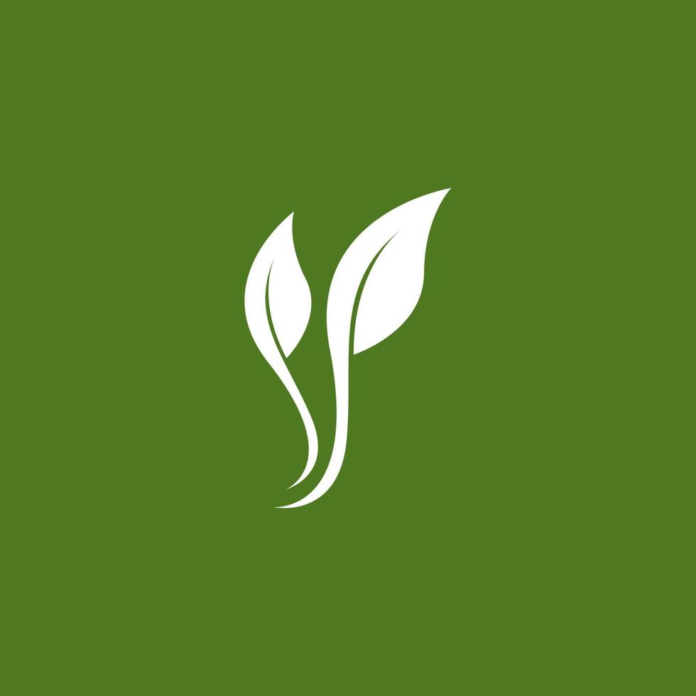 Nature leaf icon and symbol template vector