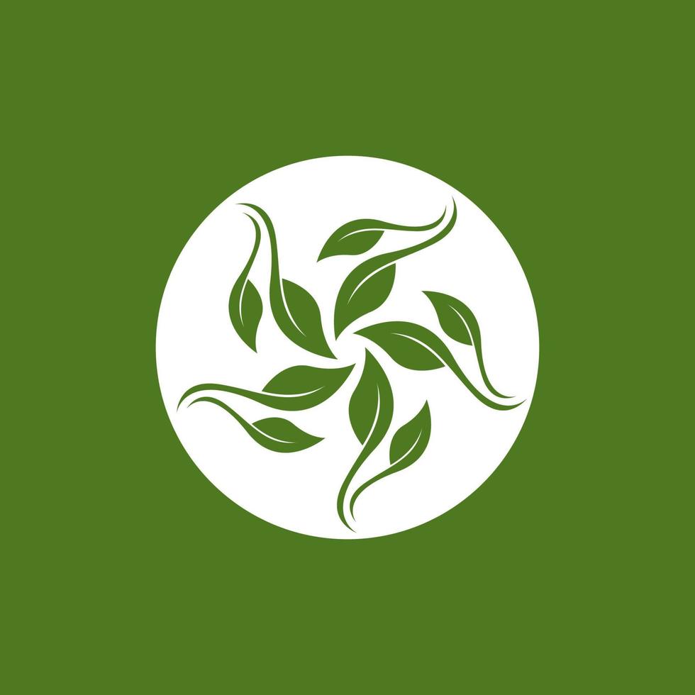 Nature leaf icon and symbol template vector
