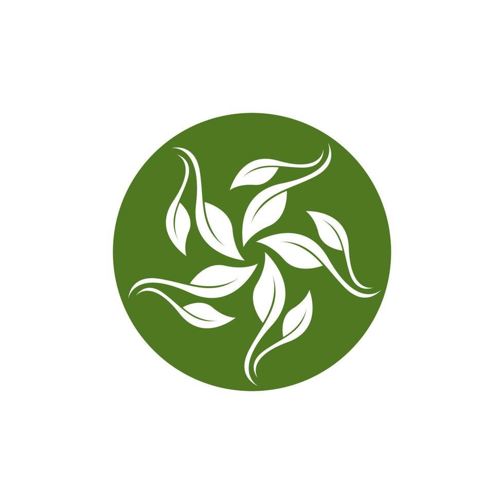 vector de plantilla de icono y símbolo de hoja de naturaleza