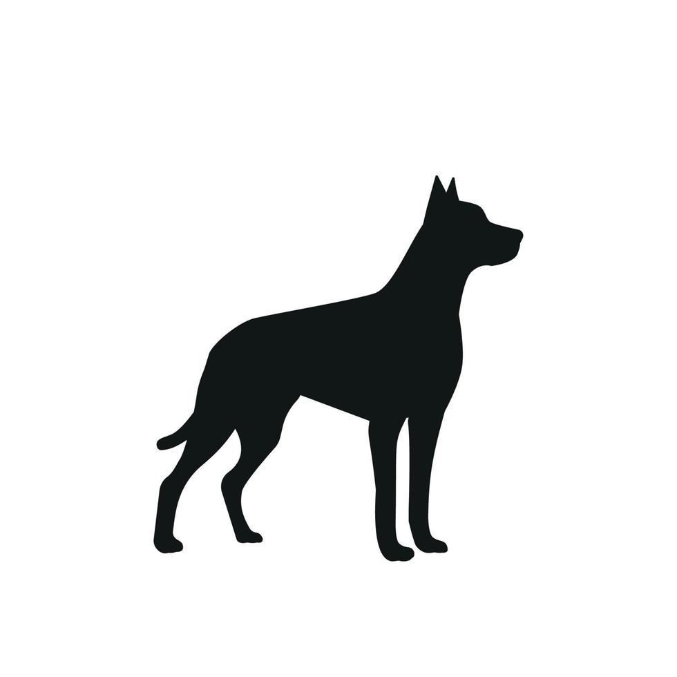 Vector image of an dog labrador on white background