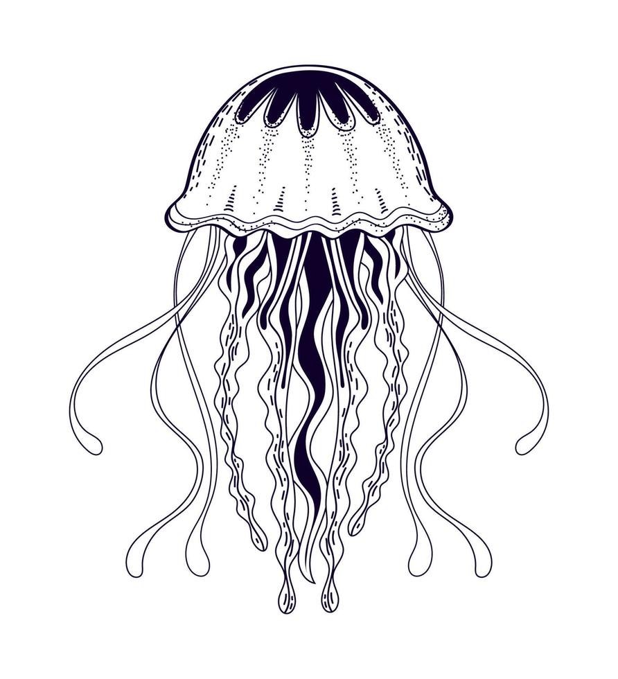 icono de mar de medusas vector