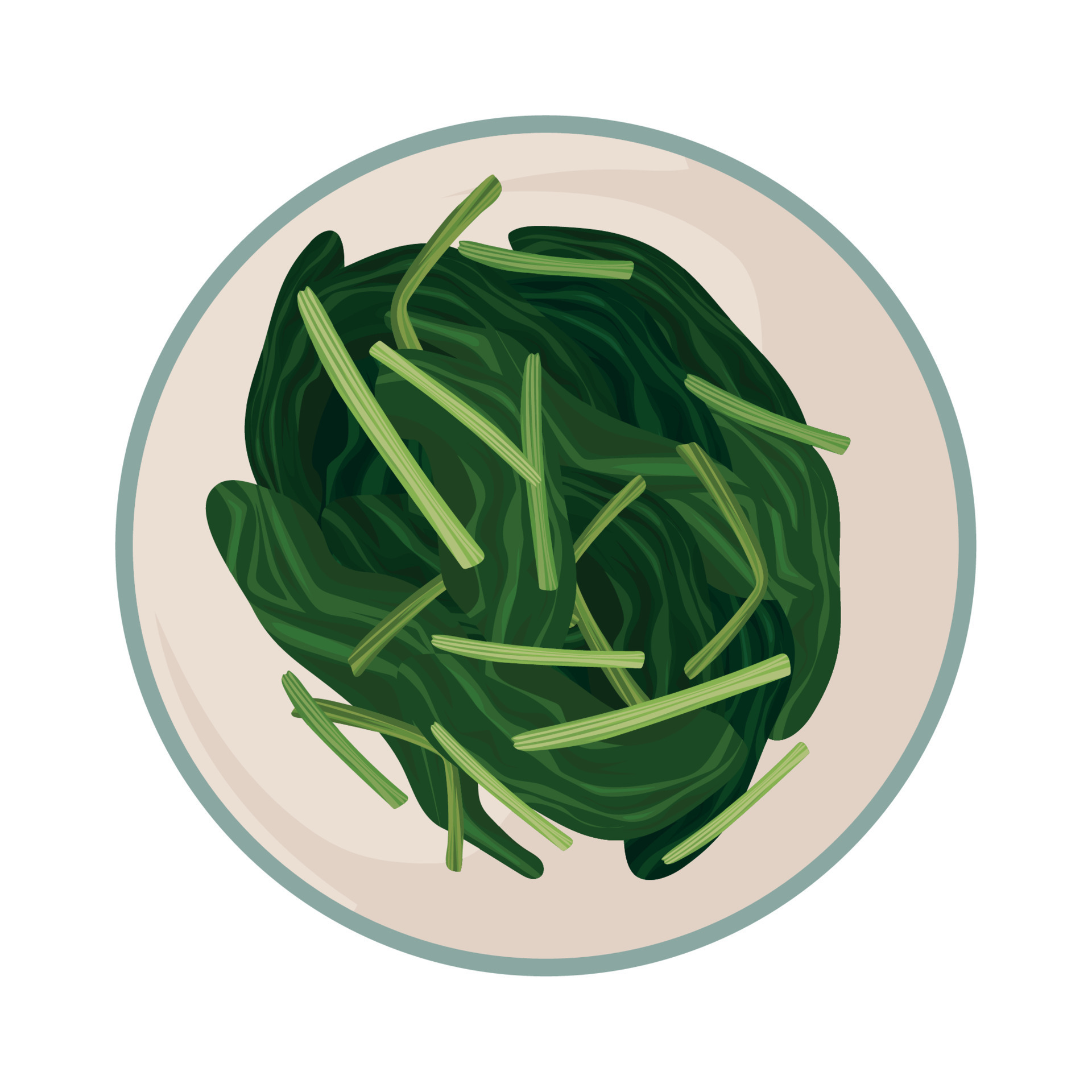 spinach in a plate 17121893 Vector Art at Vecteezy
