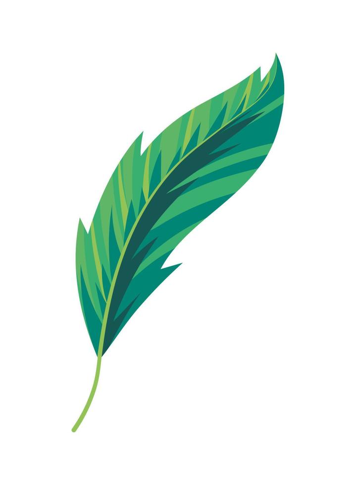 green feather icon vector