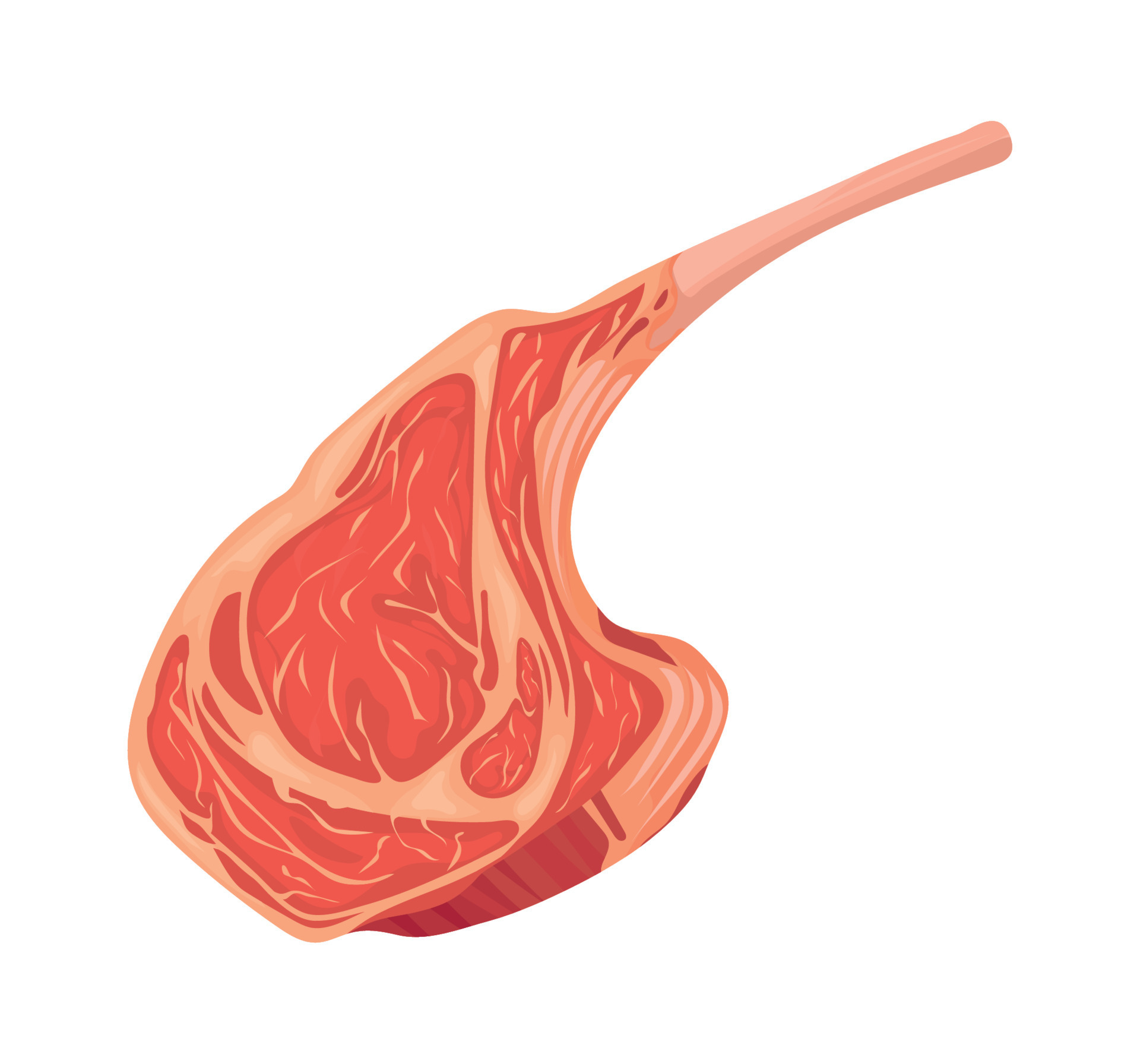 meat lamb chop 17122044 Vector Art at Vecteezy