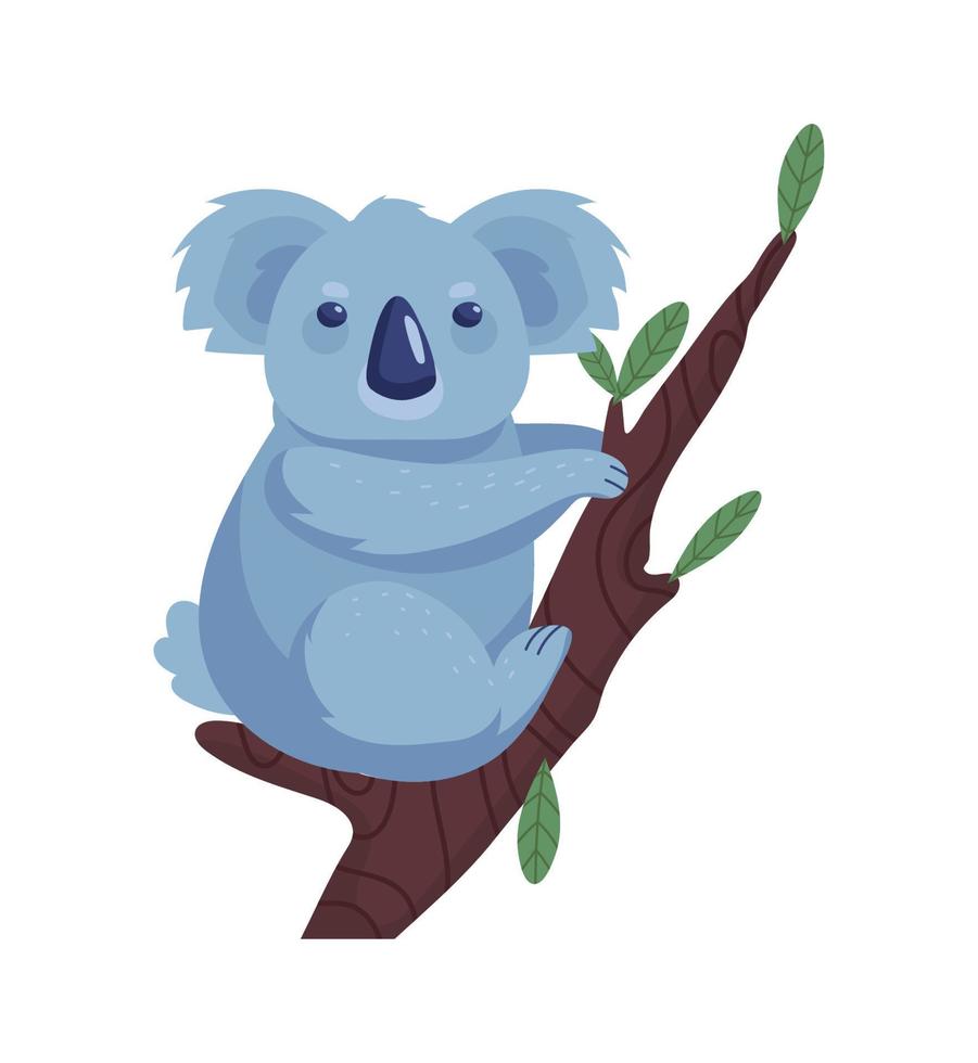 koala on a branch vector