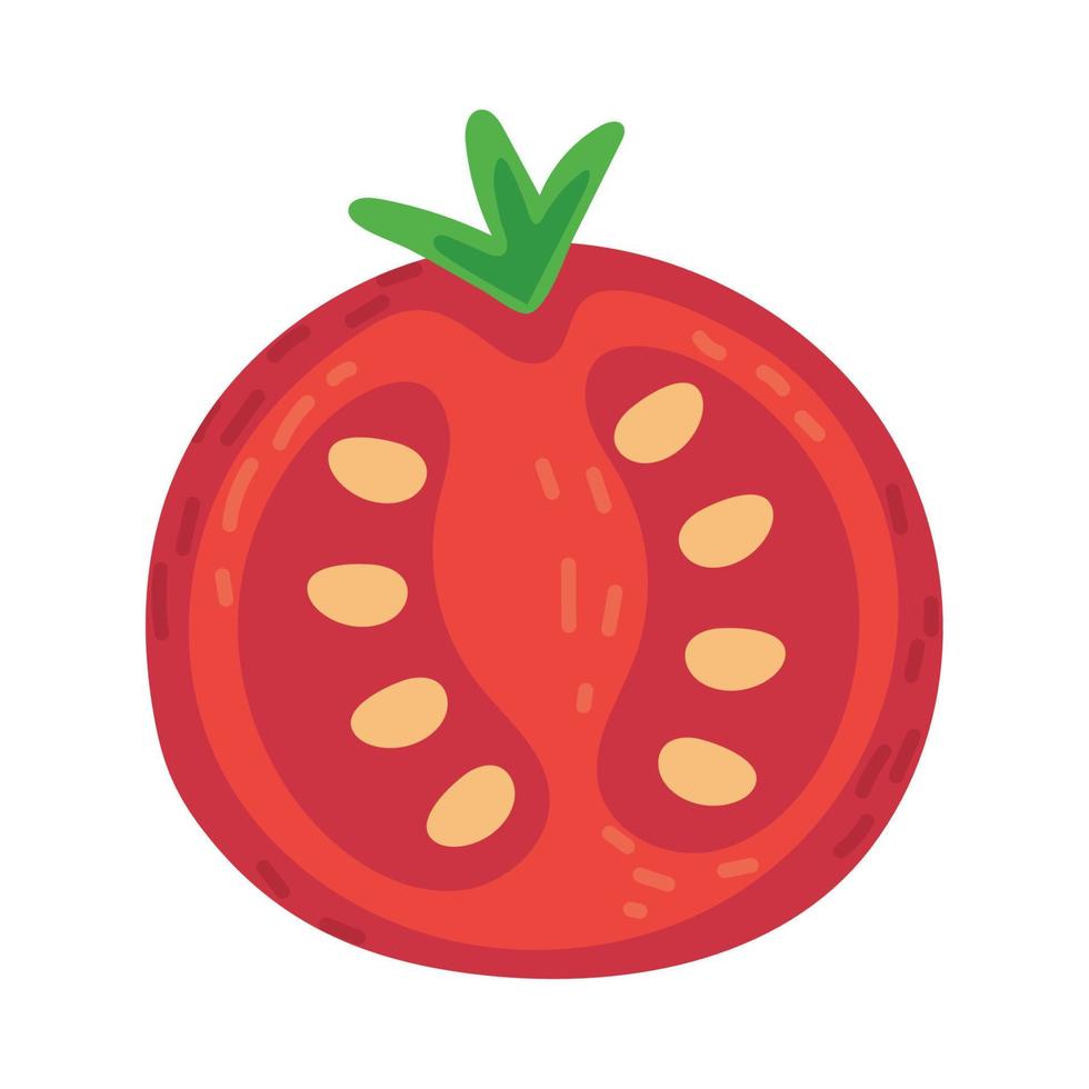 slice tomato vegetable vector