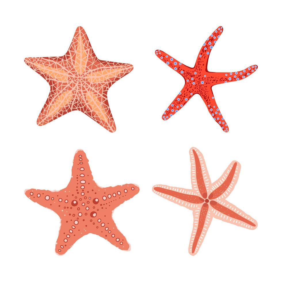 Colorful starfish set on white background. Hand drawn underwater life vector illustration