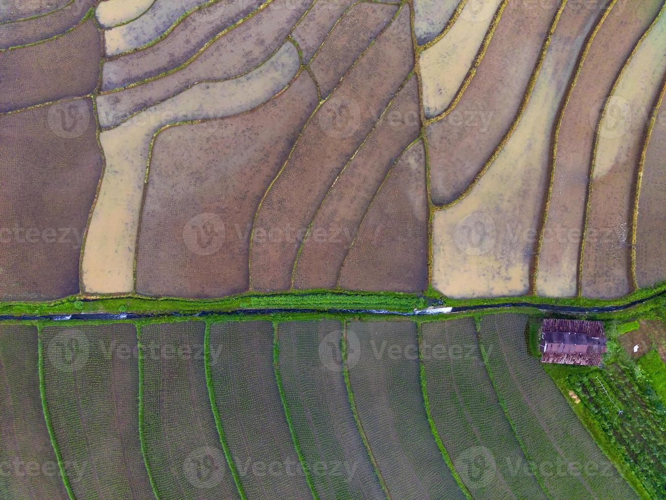 Beautiful morning view of Indonesia. Panoramic view of rice fields with beautiful colors and natural sky light photo