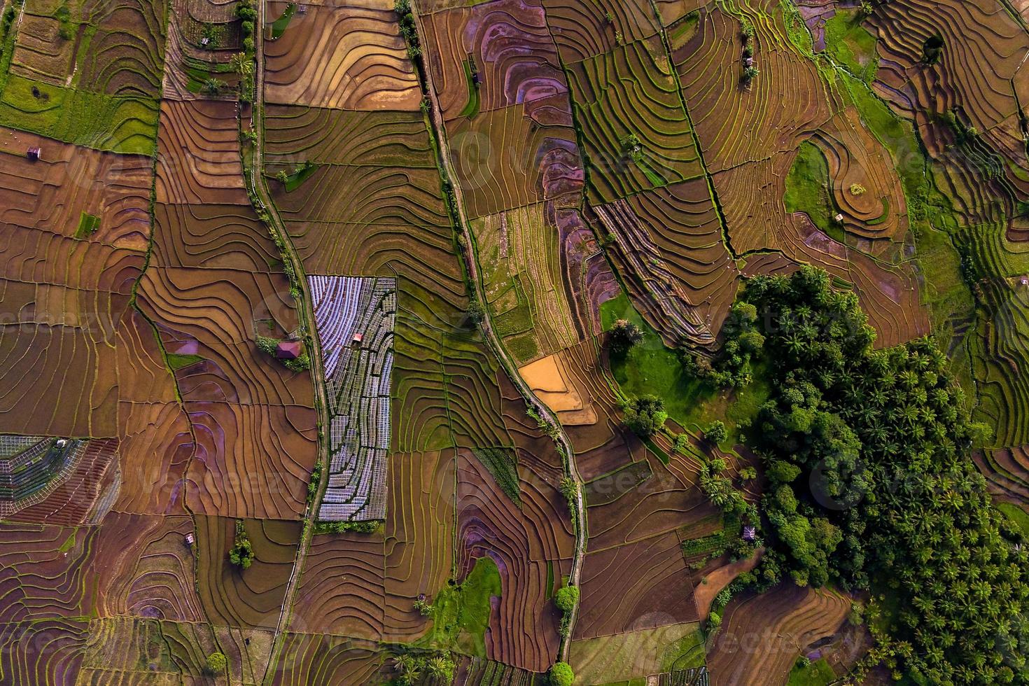 vista aérea de asia en la región más popular de indonesia con hermosas curvas foto