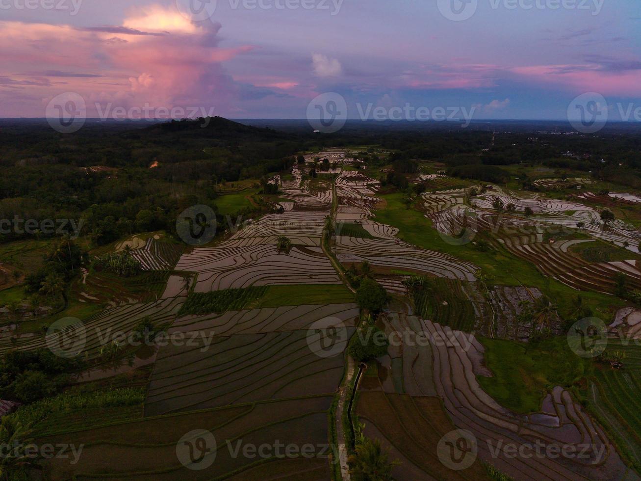 hermosa vista matutina de indonesia. foto aérea de hermosas terrazas de arroz al amanecer