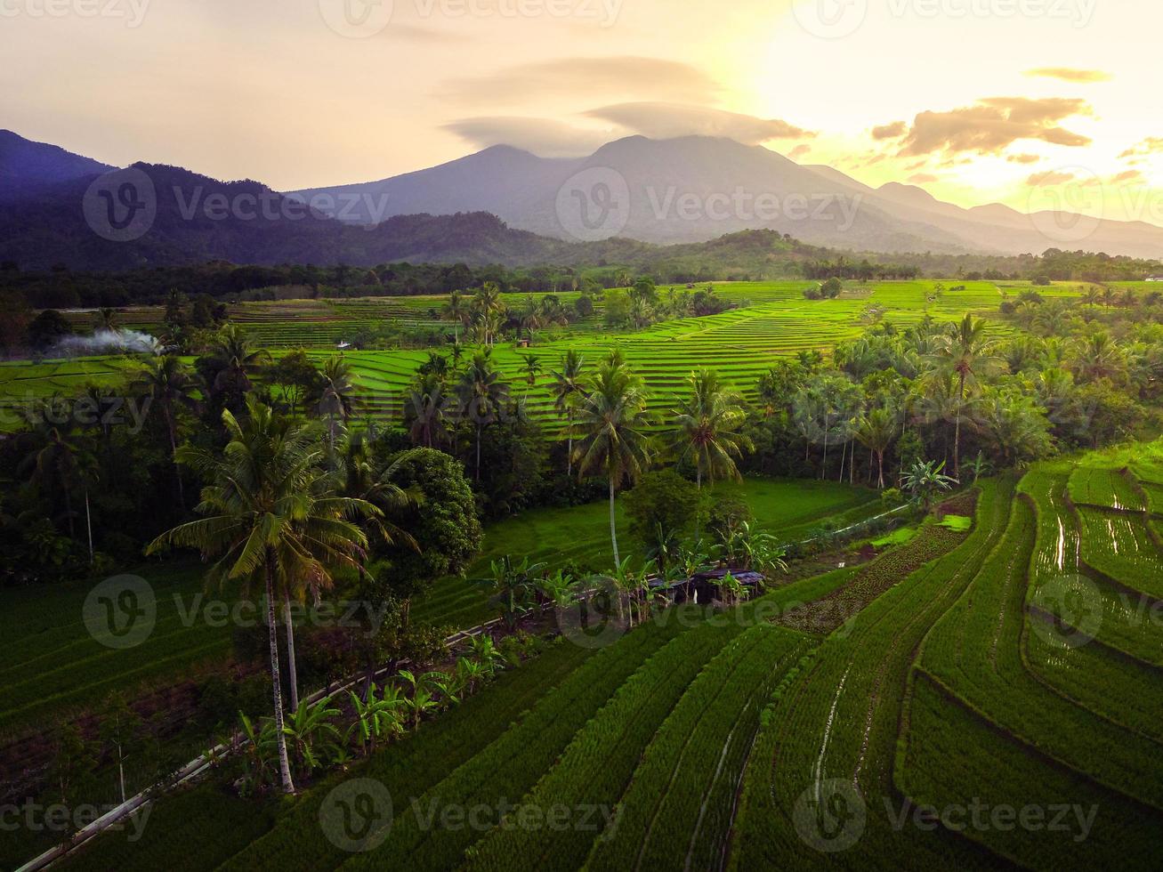 Aerial view of asia in indonesian rice fields with mountains at sunrise photo