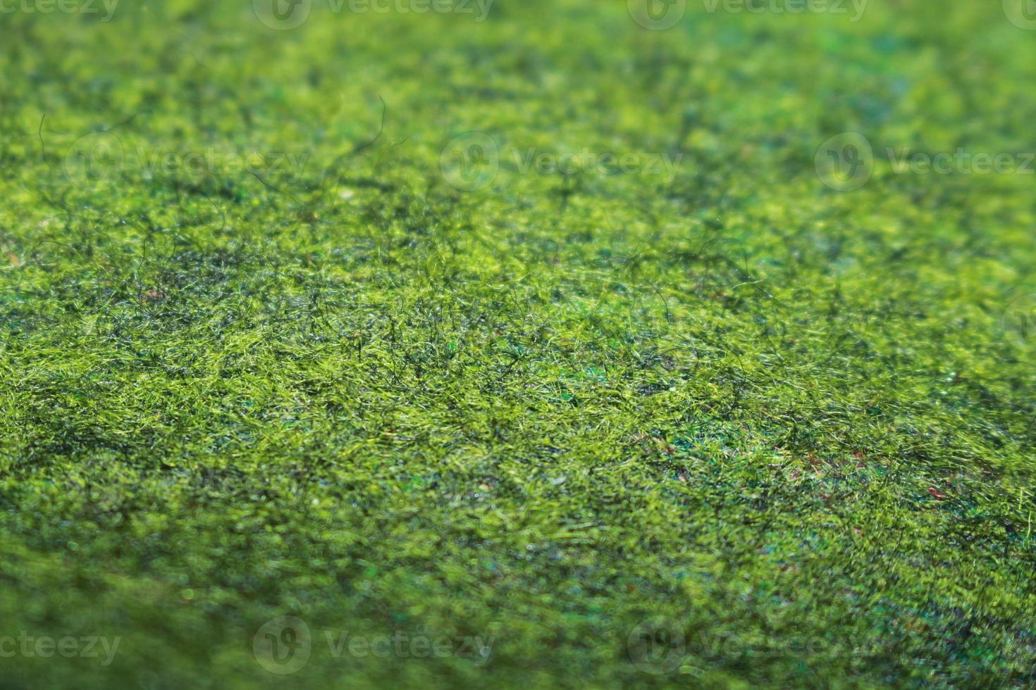 Fresh green meadow background blur2. football field grass, golf course, carpet texture photo