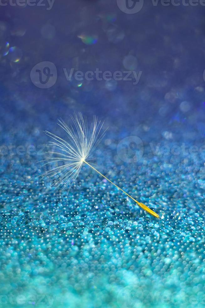 Macrophoto. Beautiful soft abstract background. Dandelion parachute on a blue background with bokeh. Selected sharpness photo