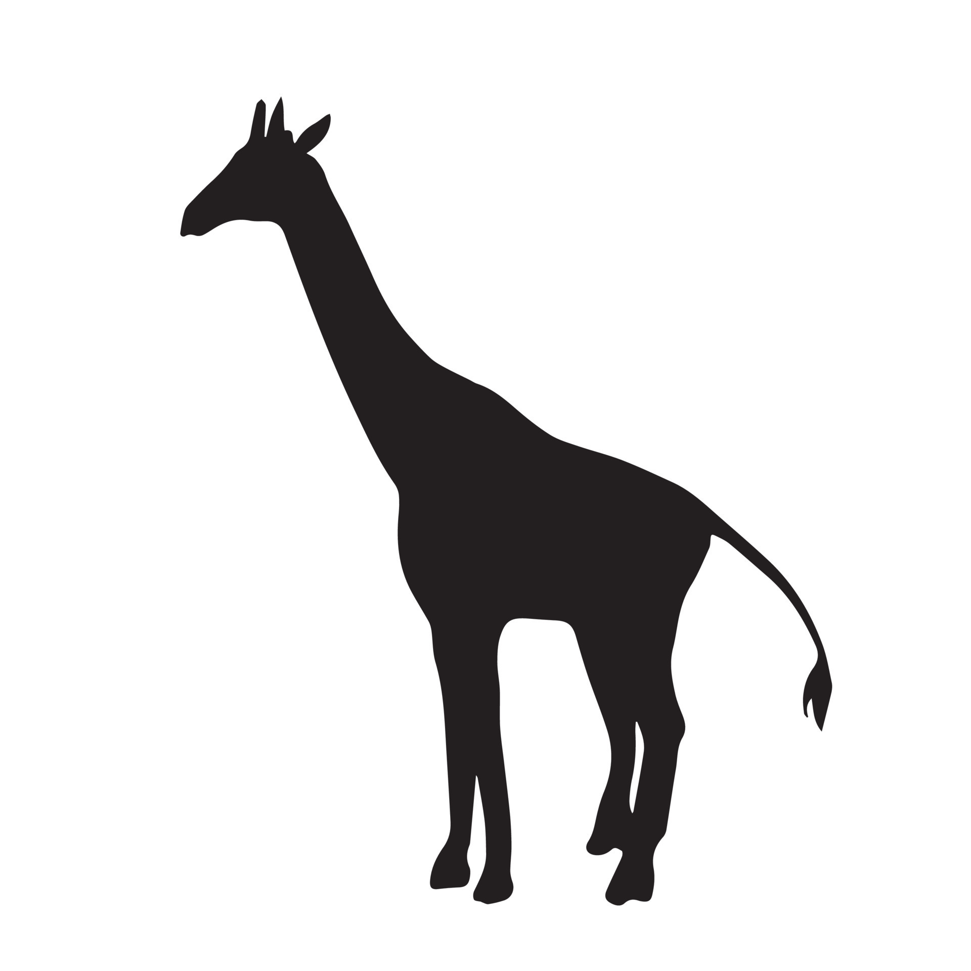 jirafa vector icono ilustración silueta negra aislada sobre fondo