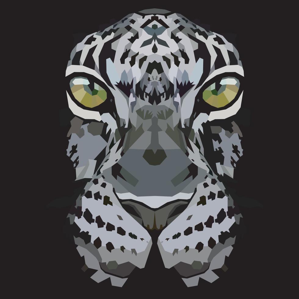 leopard on a dark black background. vector