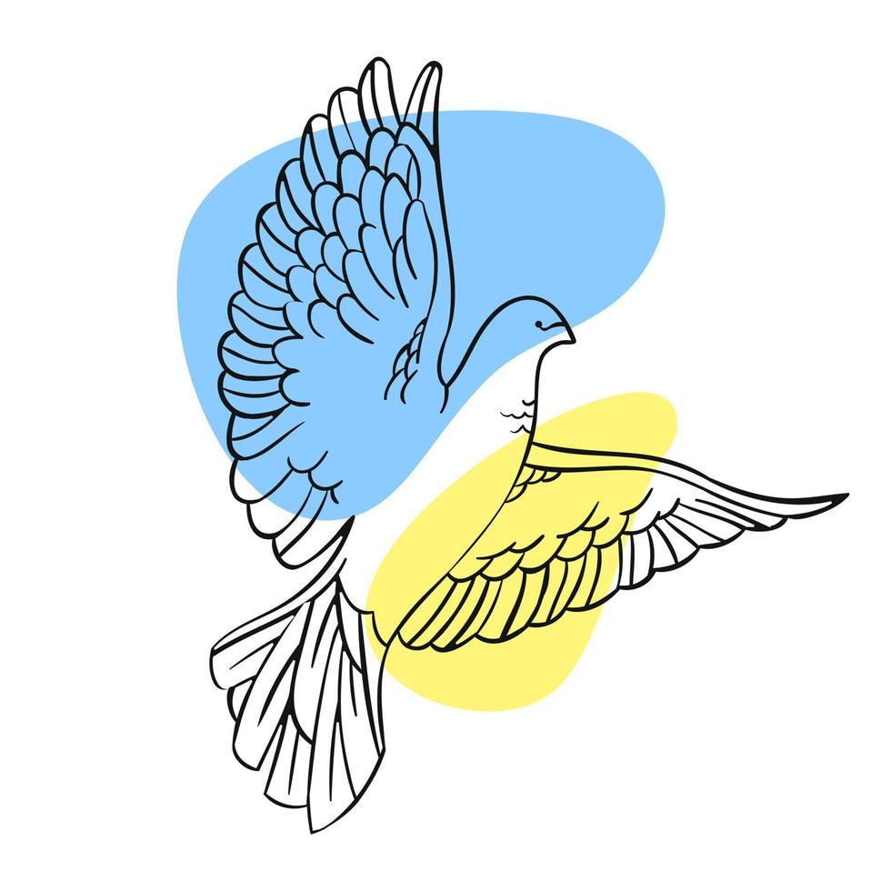 Soaring peace dove of Ukraine in line art style on a white background for print and design.Vector illustration. vector