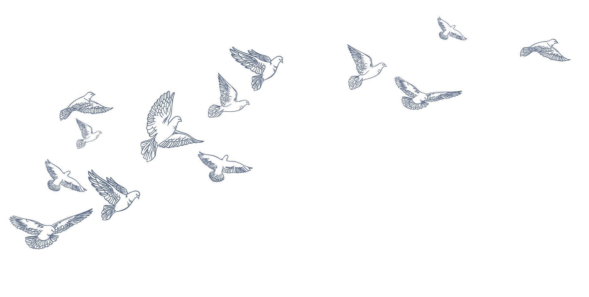 Flying pigeons, hand drawn, line art. Vector illustration