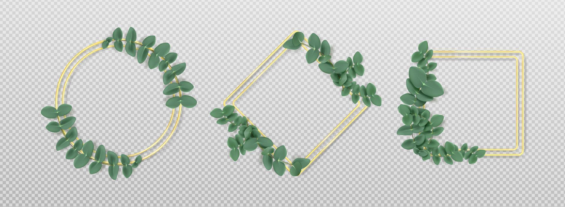 Golden frames with eucalyptus leaves isolated set vector