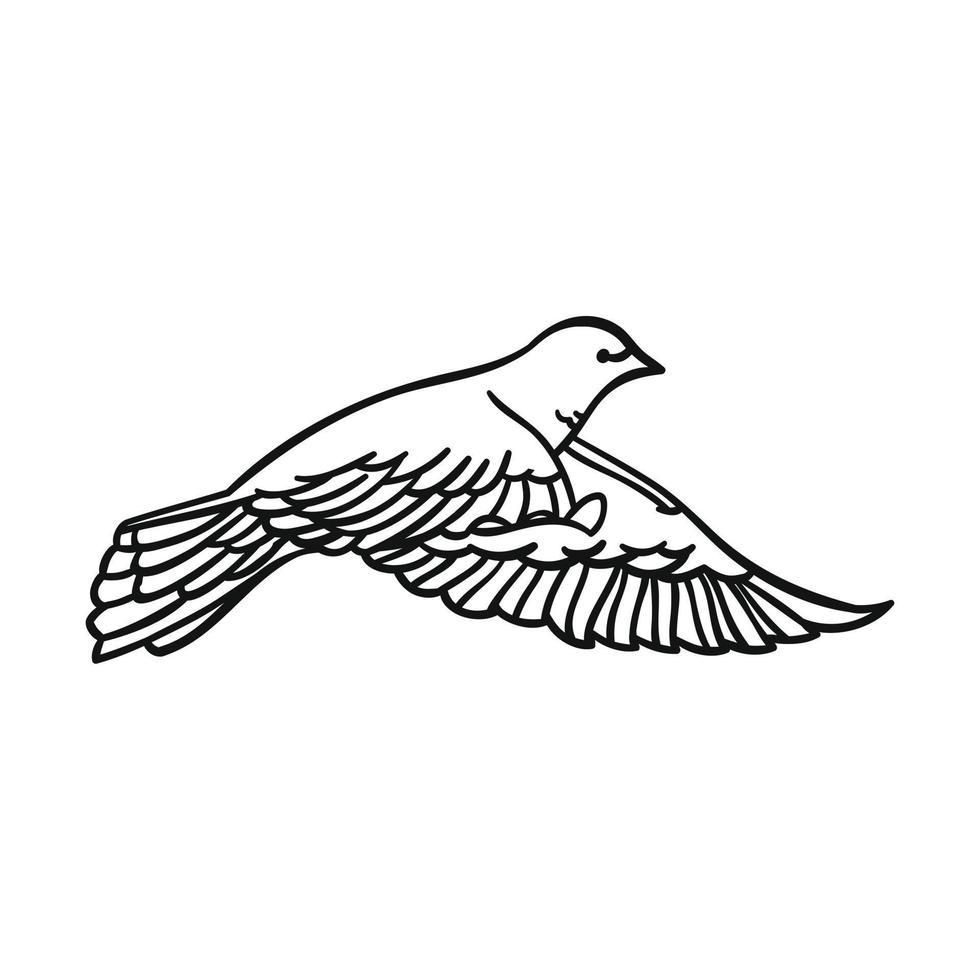 Beautiful dove in a linear style on a white background. Side view. For design and illustration. Vector illustration.