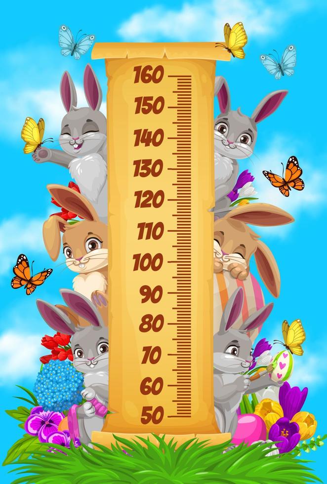 Kids height chart, Easter bunnies and egg hunting vector