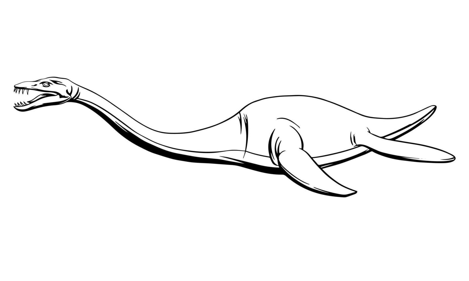 Plesiosaur in a linear style, ink drawing.Vector illustration. vector