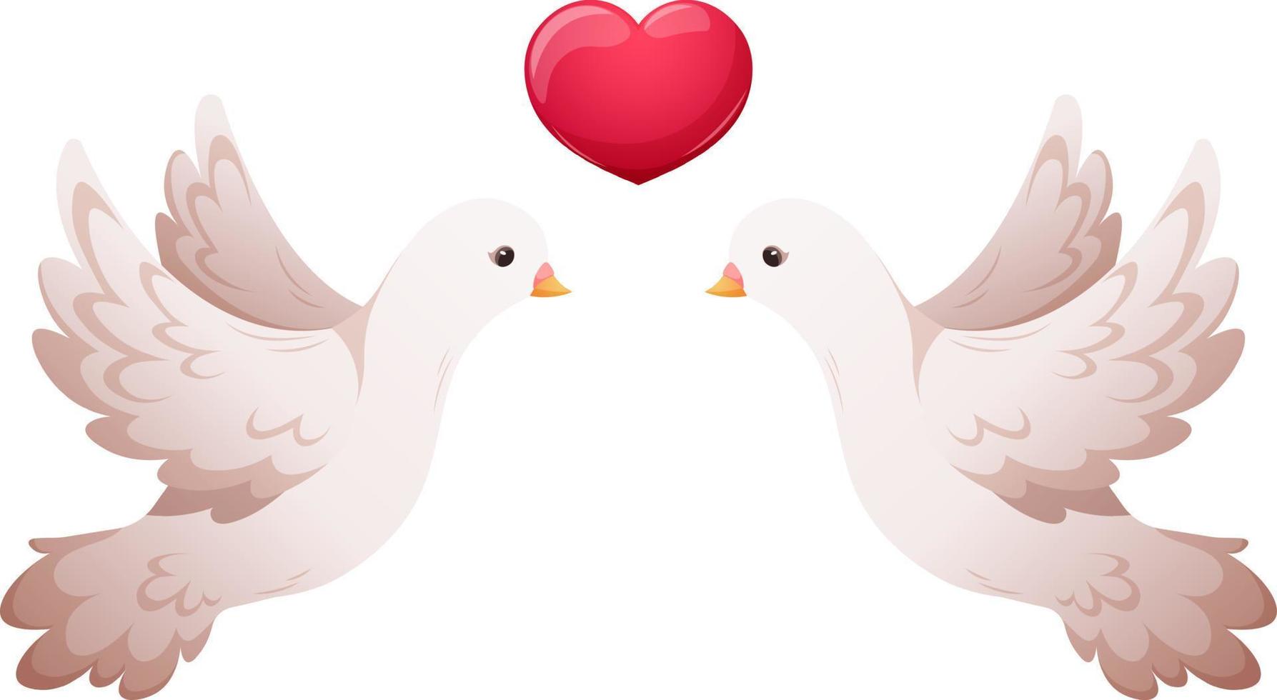 White wedding pigeons with heart cartoon isolated vector