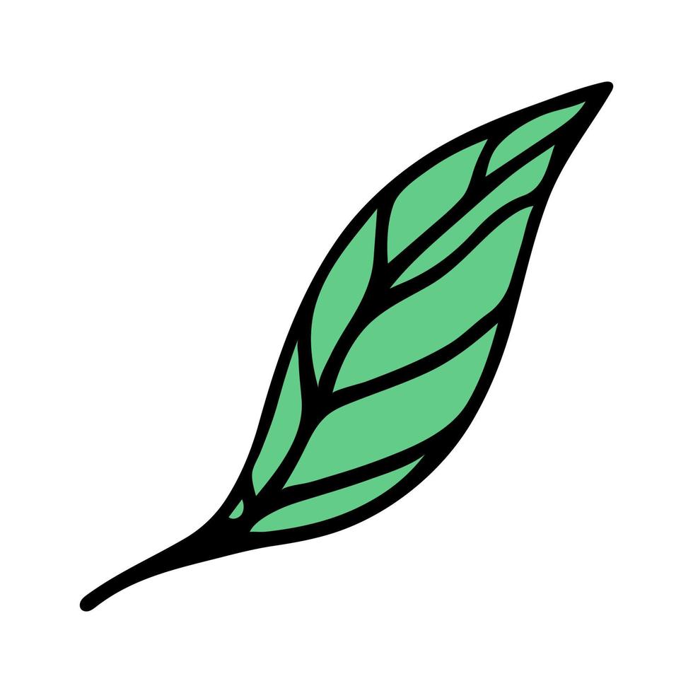 icono de vector de hoja de verano verde. garabato de dibujos animados dibujados a mano aislado en blanco. follaje veteado de abedul u olmo, en el tallo. un simple boceto botánico de una planta silvestre, de jardín y forestal. imágenes prediseñadas para impresiones, tarjetas