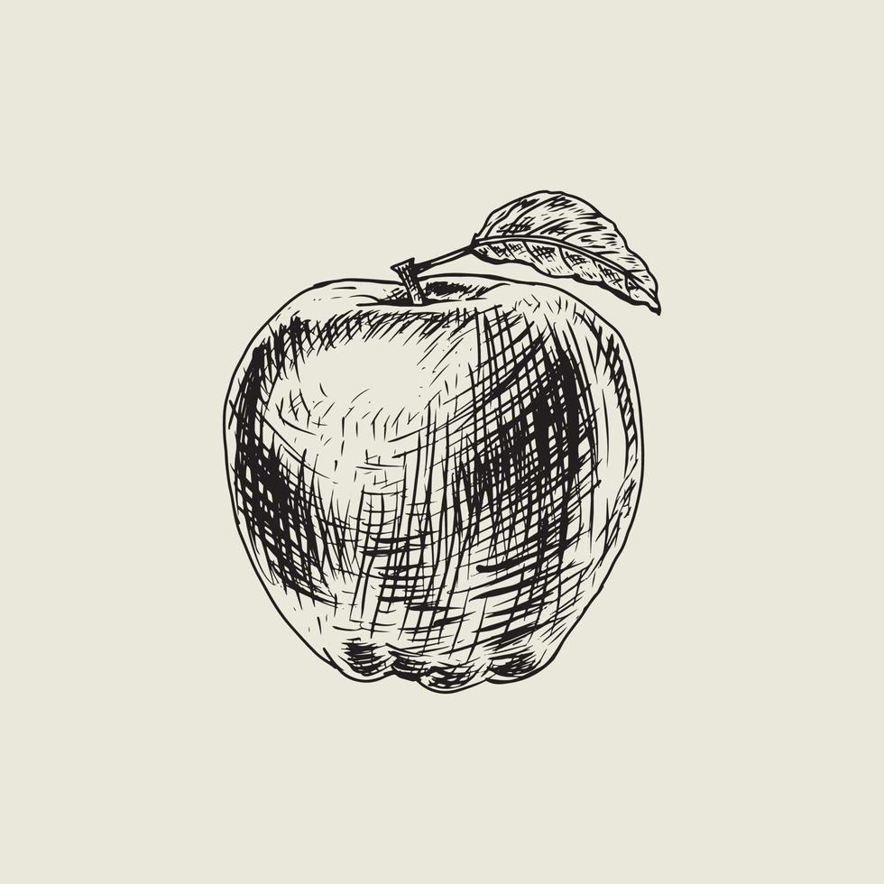 Apple drawing with vintage style vector