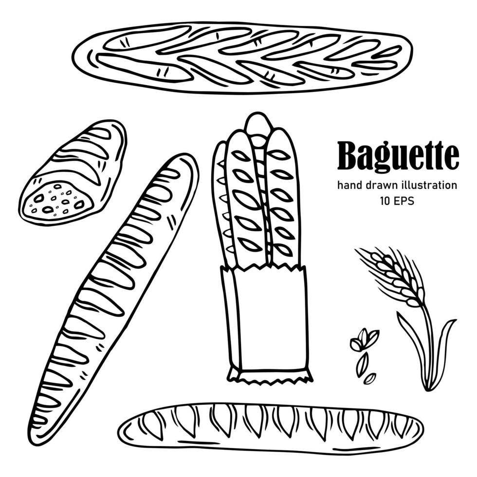 Hand drawn vector illustration of assorted bread French baguette, breaded loaf, slice of white bread. Cartoon doodle style isolated on white background