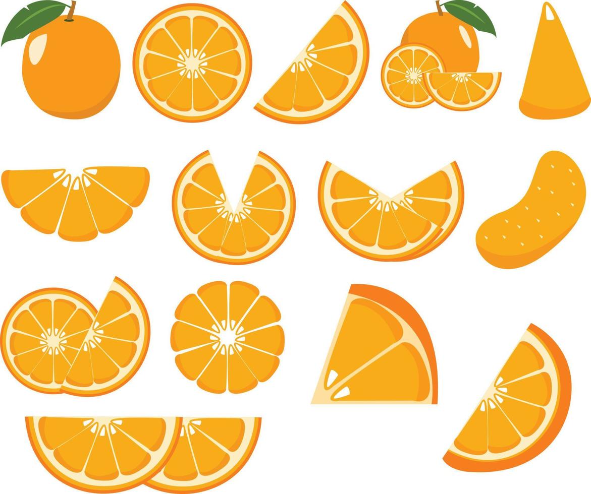 Oranges clipart set vector