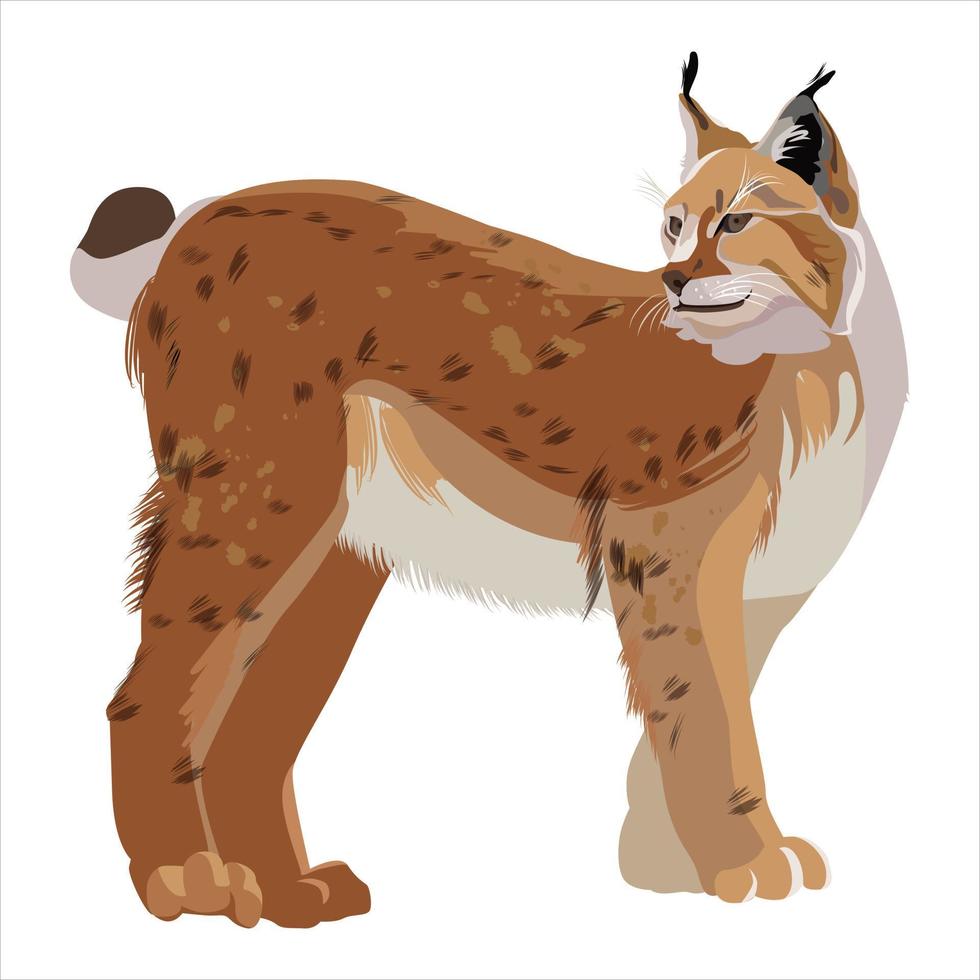 Animals of Europe, Asia and America. Eurasian Lynx. Isolated lynx in flat style on white background. Endangered species. vector