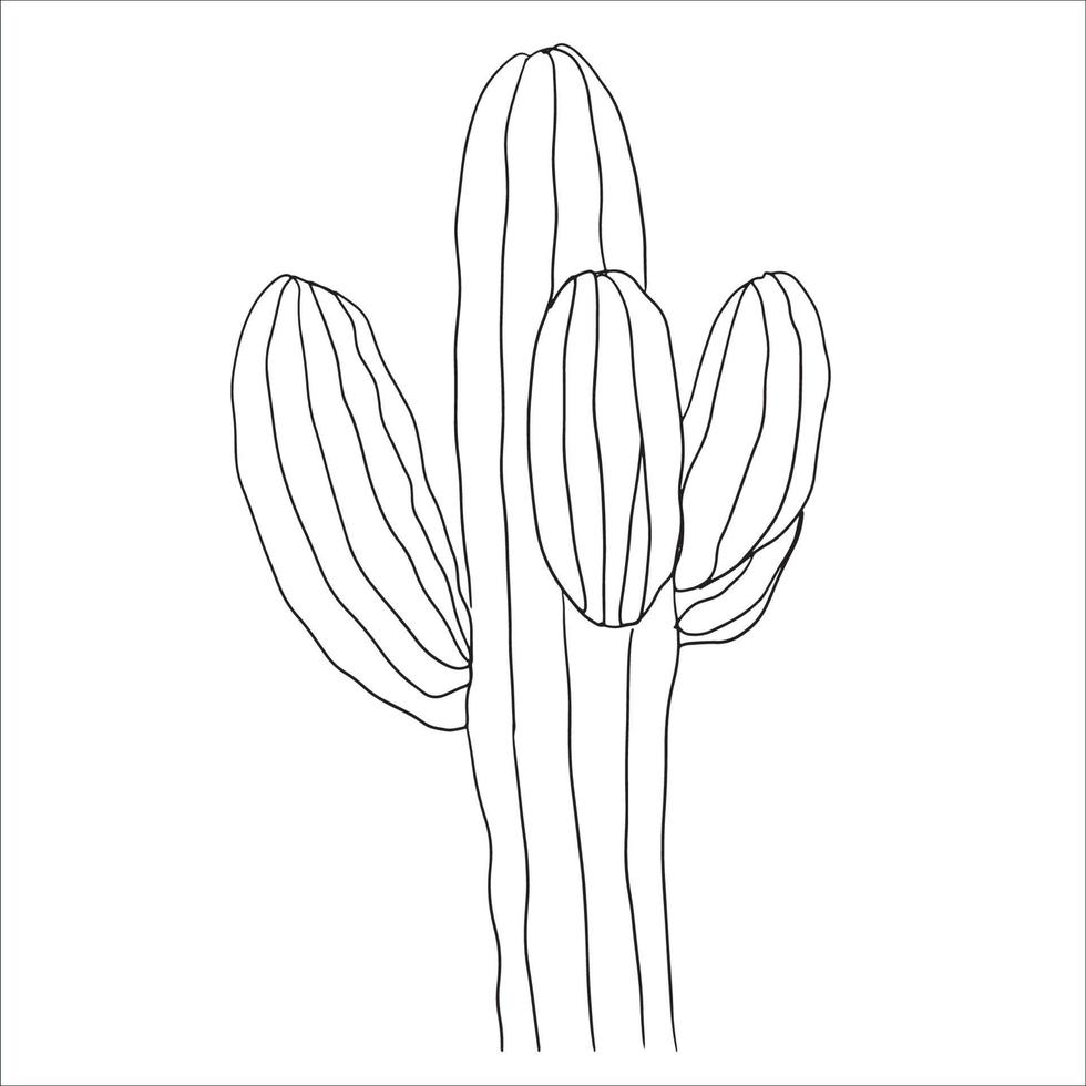 arte de línea de cactus minimalista, dibujo suculento, contorno negro, flor de planta, ilustración de flora de postre vector