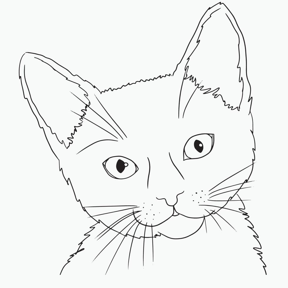 Cat Line Art, Kitty Face Outline Drawing, Simple Sketch, Minimalist Animal Illustration, Graphic Design vector