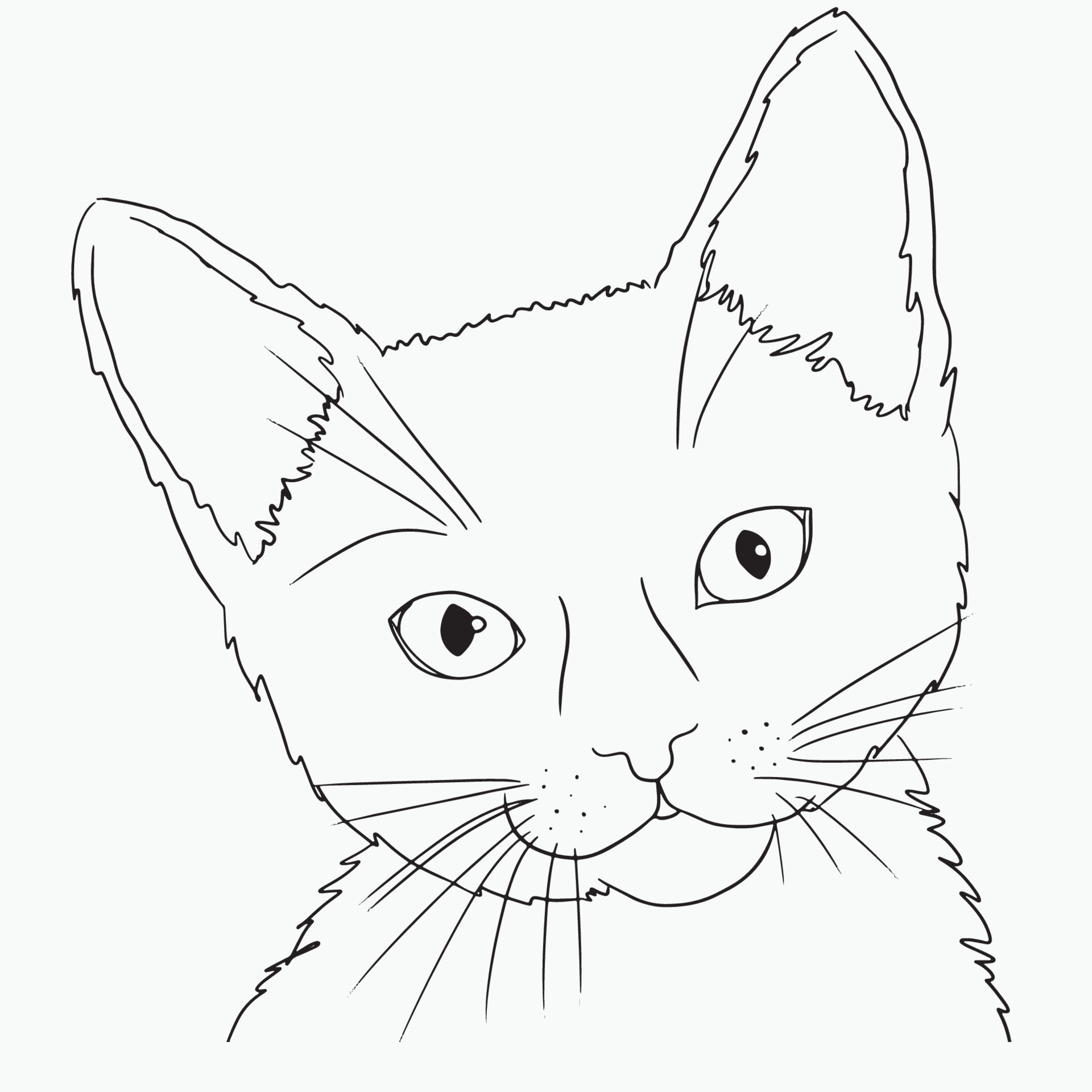 cat face line drawing