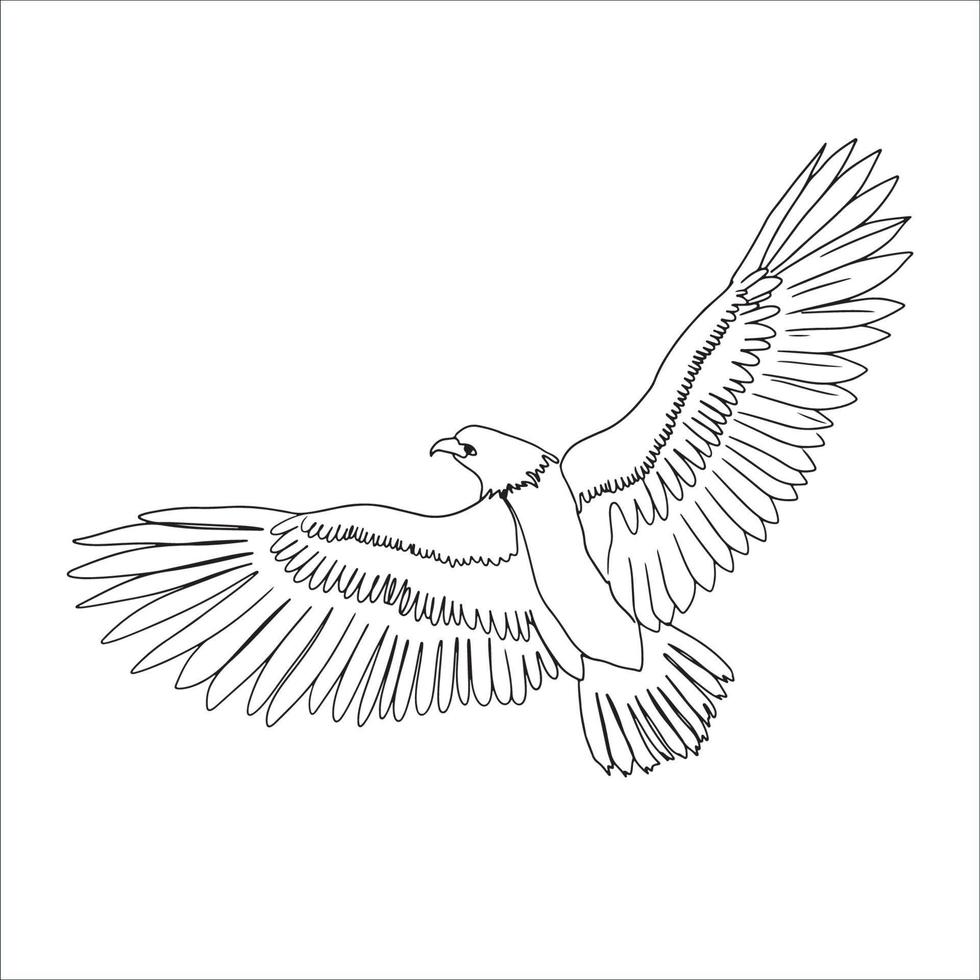 arte de línea de águila, dibujo de halcón, boceto de pájaro simple, contorno animal, ilustración vectorial vector