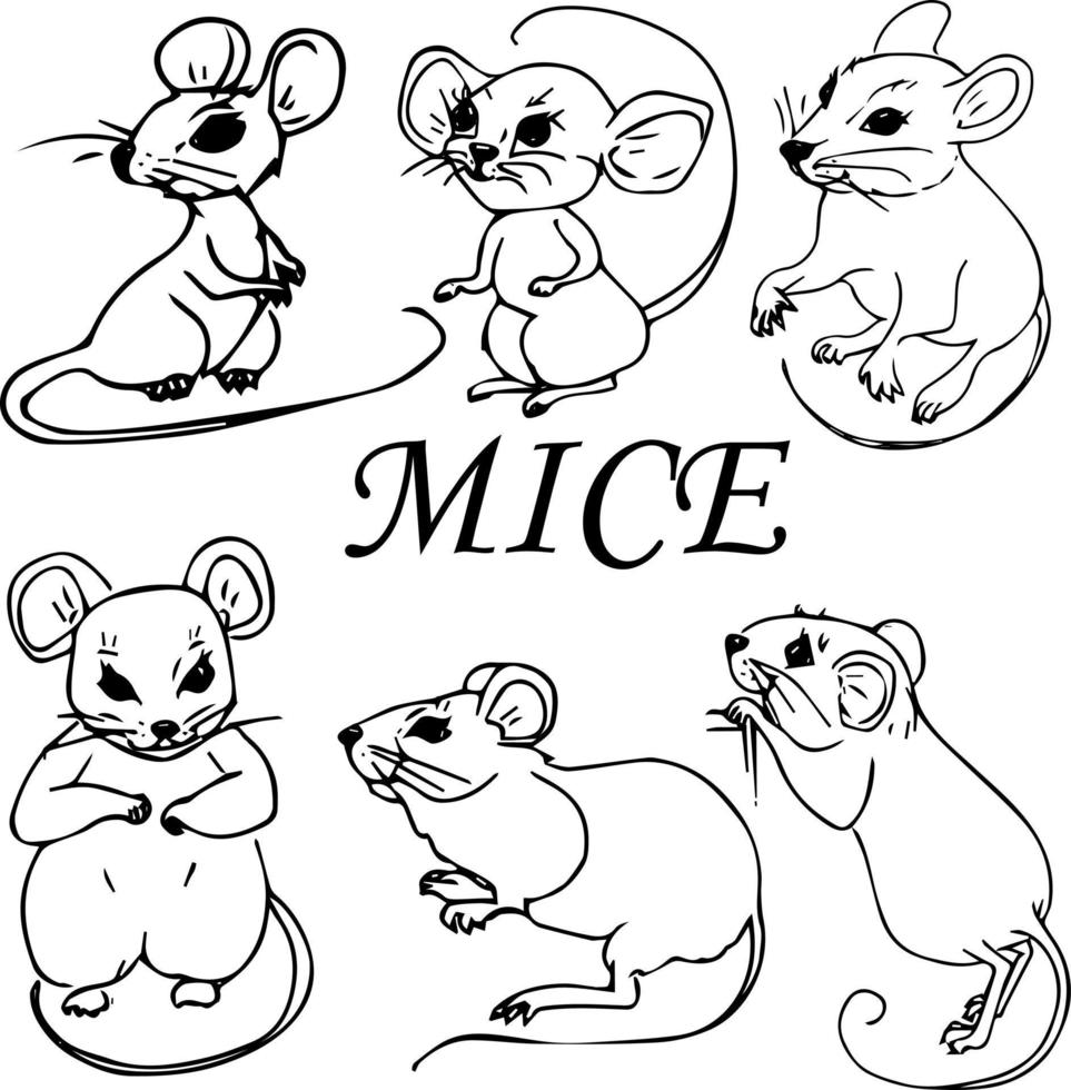 un ratón con rugosos y flores. estilo de dibujo .libro para colorear de ilustraciones para niños. vector