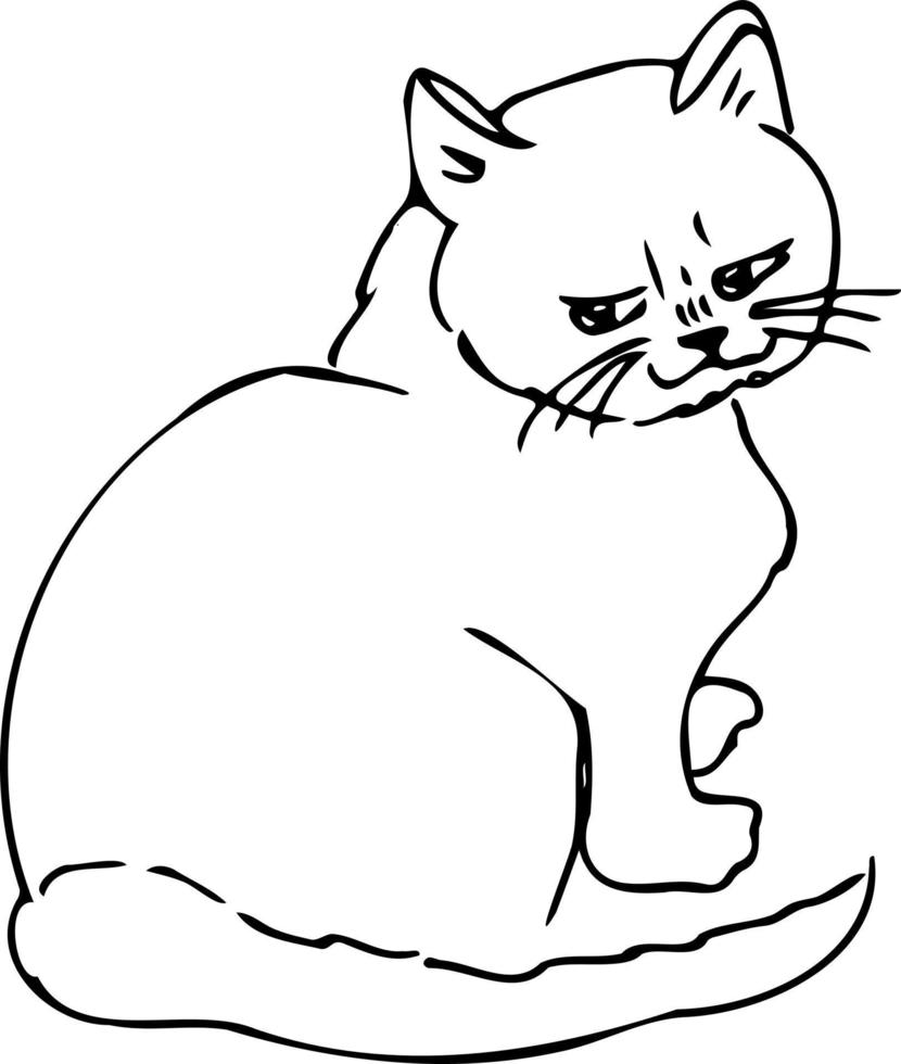 Cat cute animal, sleep plays .Doodle style .Children's illustration coloring book. vector